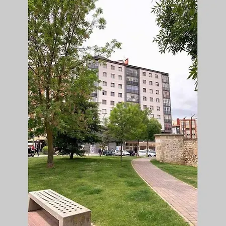 Vive Vut-09 200 * Burgo