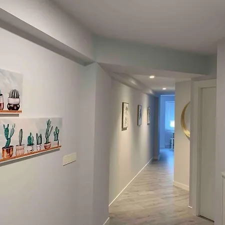 Vive Vut-09 200 * Burgo