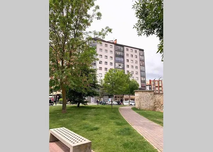 Vive Vut-09 200 * Burgo