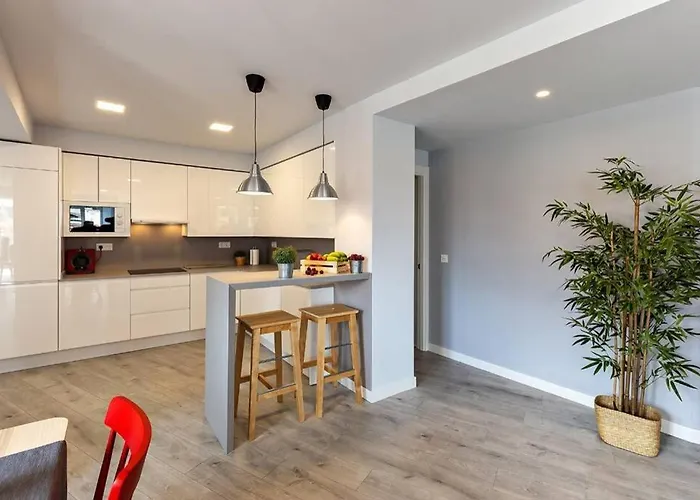 Vive Vut-09 200 Burgo