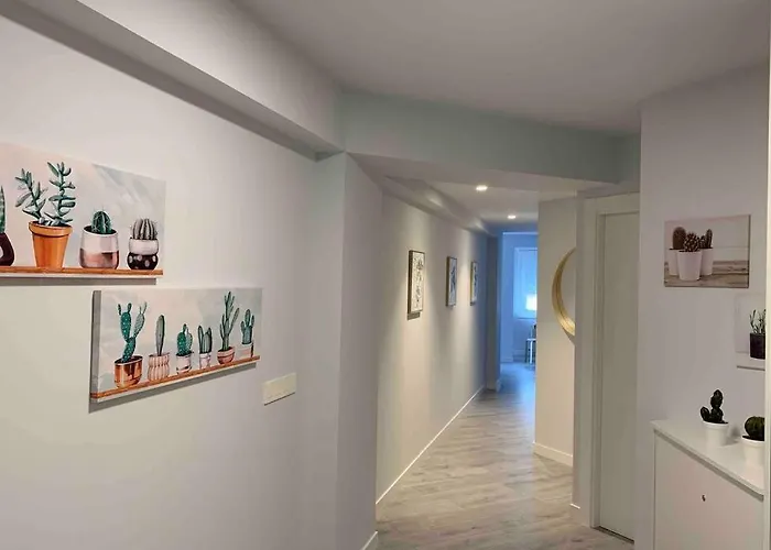 Vive Vut-09 200 * Burgo